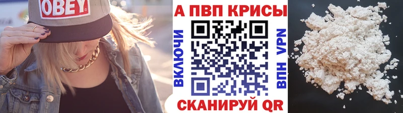 Альфа ПВП СК Шуя