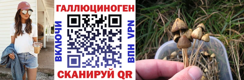 Галлюциногенные грибы GOLDEN TEACHER  Шуя 
